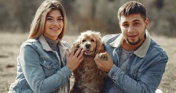 32 melhores presentes para amantes de cães e para todos os pais de estimação