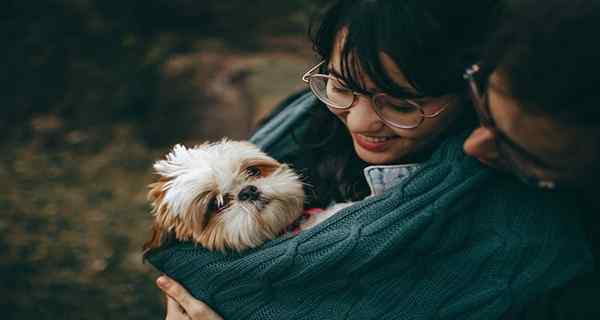 5 sätt ett husdjur påverkar ditt datingliv