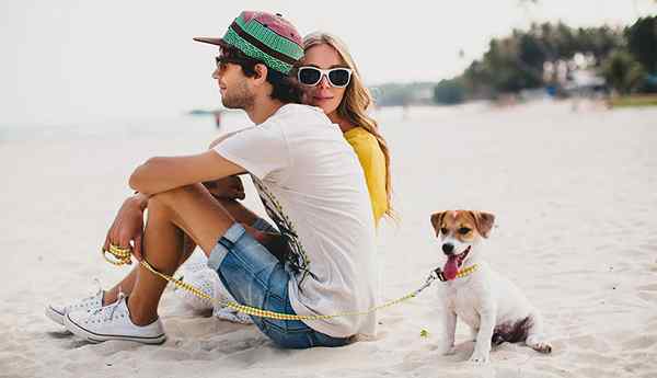 9 conseils pour les couples qui prévoient d'obtenir un animal de compagnie