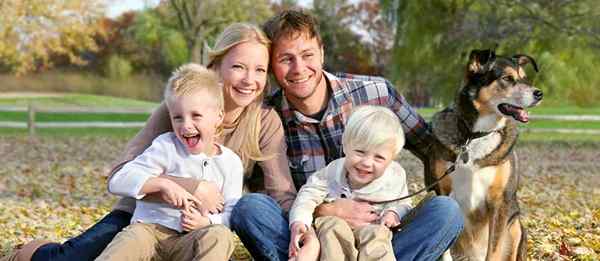 Een huishouden van geluks- en liefdestips voor een gelukkiger gezin