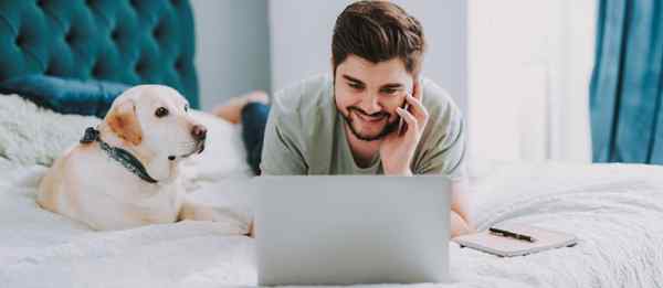 ¿Puede una mascota ayudar a fortalecer los lazos familiares??