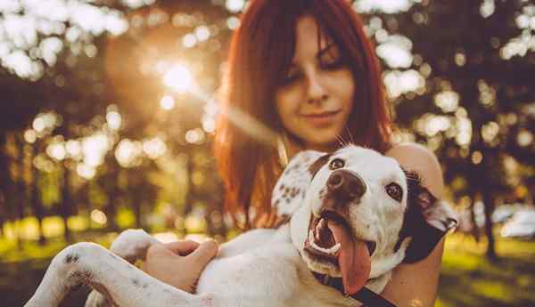 Burung Bulu Mengapa Millennials Memilih Anak Anjing Lebih Bayi