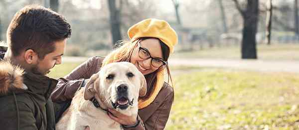 ¿Cómo afecta a una mascota su relación??