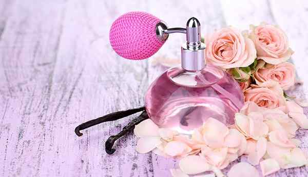 Como escolher o perfume perfeito e cheirar bem!