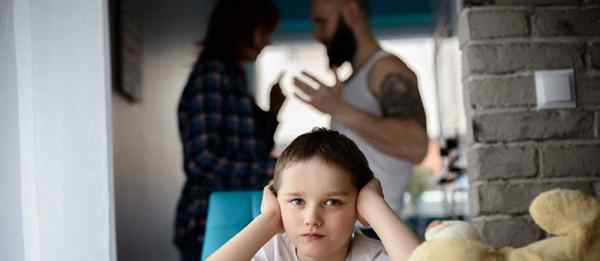 Wie Sie Ihre Kinder vor der Entfremdung der Eltern schützen können