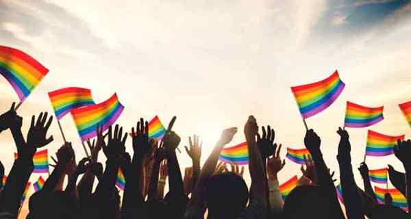Pride Decorations en Rainbow Pride Party Decor Ideas