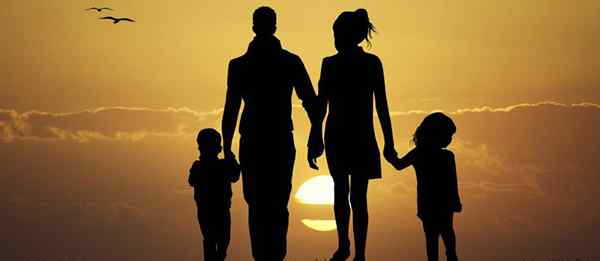 Het Internal Family System (IFS) -model en hoe je het kunt doorsturen