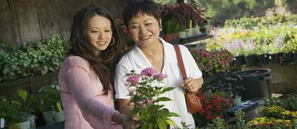 10 segni di problemi di mamma nelle donne e come risolverli