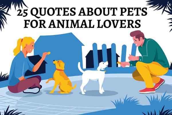 25 citazioni sugli animali domestici per gli amanti degli animali